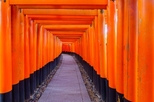 Torii gates, Inari mountain, in Kyoto