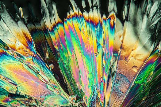 citric acid crystals in polarized light under the microskope 100