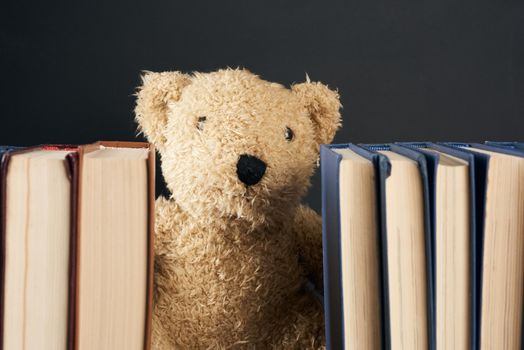 teddy bear peeking out from behind a stack of books, black backg