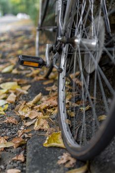 Bycicle in autumn
