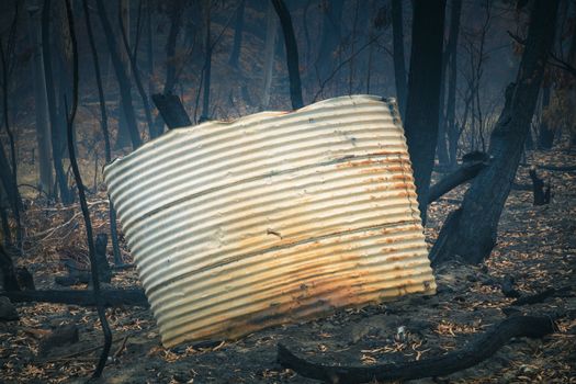 A water tank and gum trees burnt by severe bushfire in The Blue Mountains in Australia
