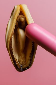 vagina symbol, mussel and pink vibrating sex toy on red backgrou