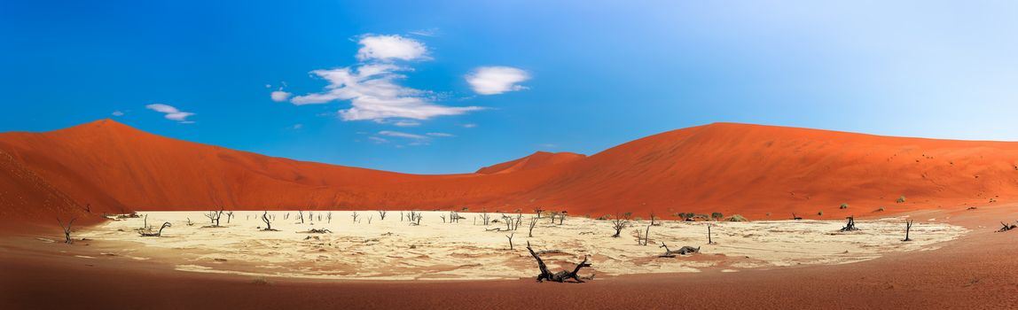 Panorama of red dunes and dead camel thorn trees in Deadvlei, Namibia