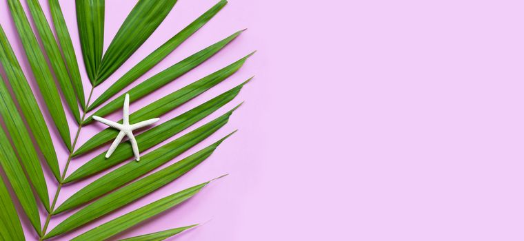 Starfish on tropical palm leaves on pink background. Enjoy summe
