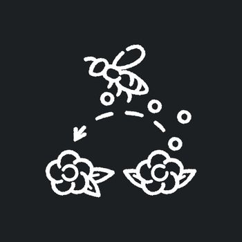 Pollination chalk white icon on black background