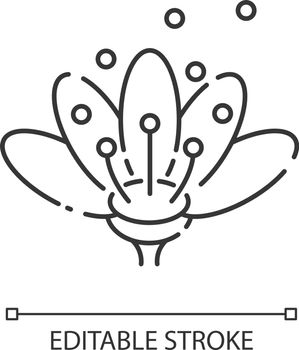 Pollen linear icon