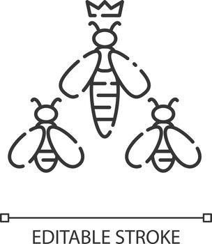 Queen bee linear icon