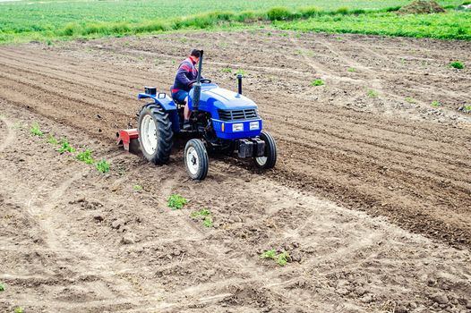 Farmer on a tractor loosens soil with milling machine. Plowing field. First stage of preparing soil for planting. Loosening surface, land cultivation. Use agricultural machinery. Farming, agriculture.