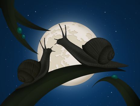 snails on leaf in the moonlight