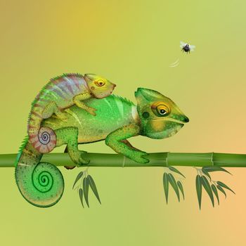 two camouflaged chameleons