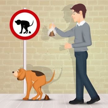 obligation to collect dog poop