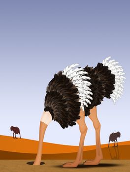 ostrich with his head in the sand