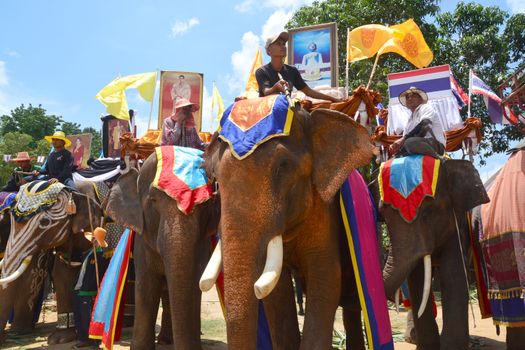 SURIN, THAILAND, MAY 9, 2017 : Ordination Parade on Elephant’s Back Festival is when elephants parade and carry novice monks on their backs. This event takes place at Wat Chang Sawang