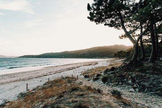 Horizontal view of the beach from the forest