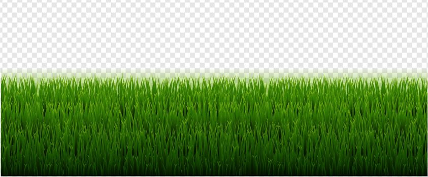 Green Grass Border With Transparent Background With Gradient Mesh, Vector Illustration