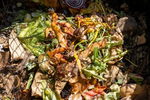 A Pile of Compost with Kitchen Waste