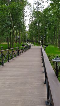 Wooden bridge in a beautiful green forest