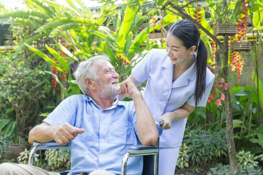 A nurse take care a senior male on wheelchair in his garden at h