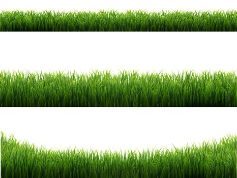 Green Grass Frames Set Transparent Background