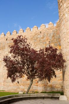Ancient fortification of Avila