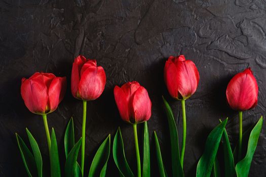 Row of tulip flowers on textured black background, top view