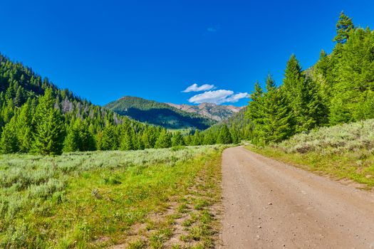 North Fork Road in the Sawthooth National Forest near Ketchum, I
