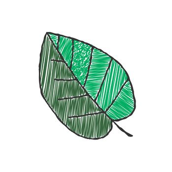 Vector color shaded outline of a plant leaf. Hand-drawn Doodle s