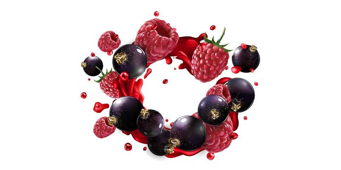 Black currants and raspberries in a splash of red fruit juice.