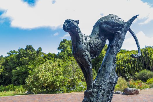 Puma sculpture in Kirstenbosch Botanical Garden, Cape Town.
