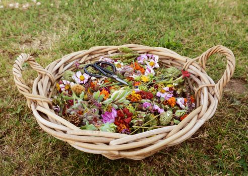 Large basket full of faded flower blooms and seed cases