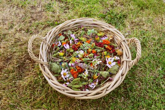 Large woven basket filled with faded garden flowers