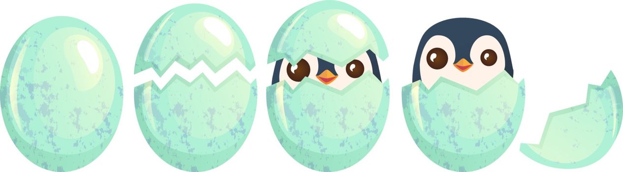 bird egg isolated set