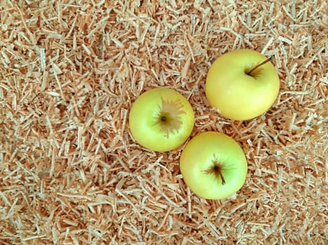 White apples on the background of sawdust