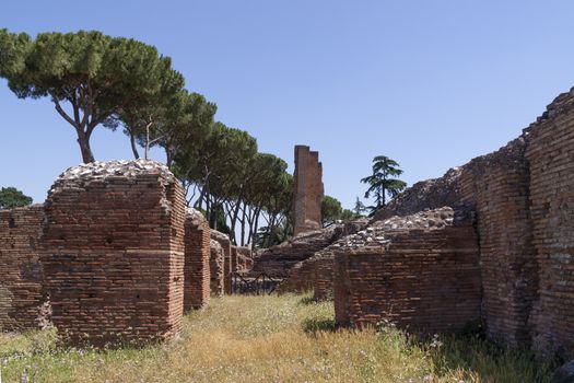 Rome, Italy - June 29, 2010: Remnants of the Flavian Palace