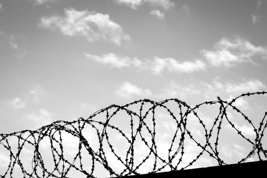 Barbed wire on the background of the cloudy sky. The concept of 