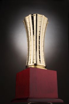 trophy for champion