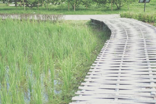 rice paddy field & bamboo footbridge bridge