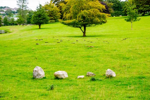four limestone rocks in Dallam Park Cumbria near the footpath