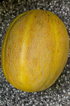 Close-up photo of a fresh ripe whole melon