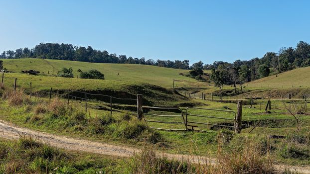 Australian Dairy Farm Fenced Paddocks