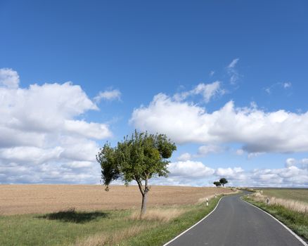 empty road between fields on high plane neer Cochem in german voreifel