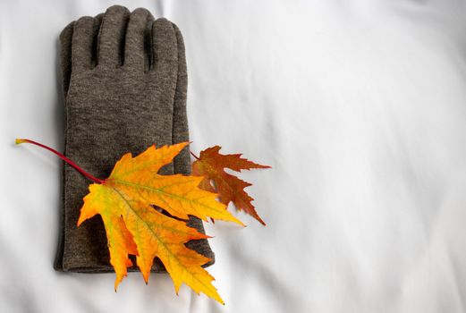 Grey gloves with maple leaves on a white background, isolated. The concept of autumn