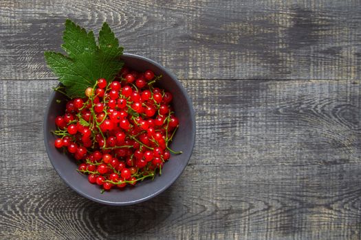 red currant berries in a ceramic bowl on a rustic wooden background. close up and selective focus