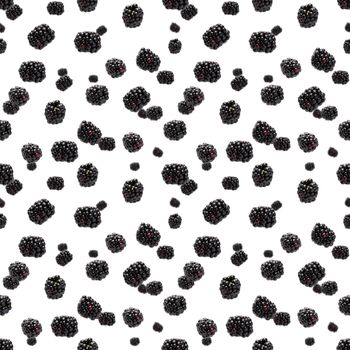 Falling Bramble Seamless pattern. Fresh Falling blackberry seamless pattern. Pattern with fresh wild berries isolated on white background.