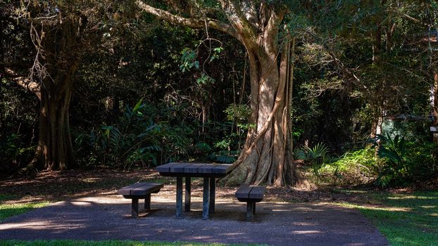 Rainforest Picnic Table And Chairs