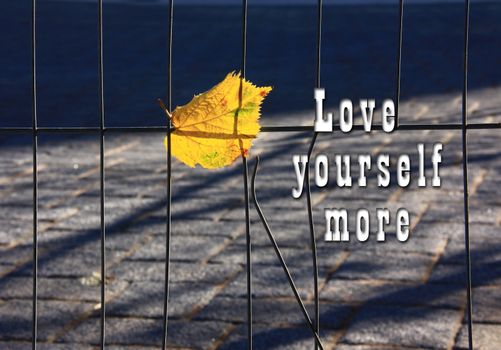 Encouraging quote sign Love yourself more, just not in my heart on the urban background of single yellow autumn fall leaf stuck in grid. Symbol of overcoming loneliness, away from technology, stress of divorce, self care concept