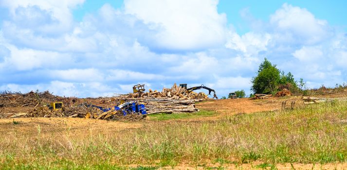 Debris Pile at Site
