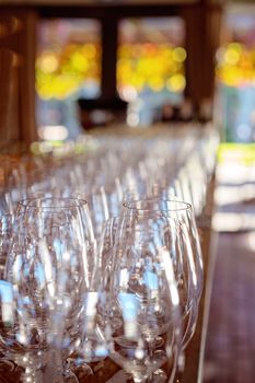 Row Of Empty Restaurant Wine Glasses