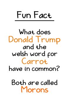 Donald Trump and Welsh Carrot