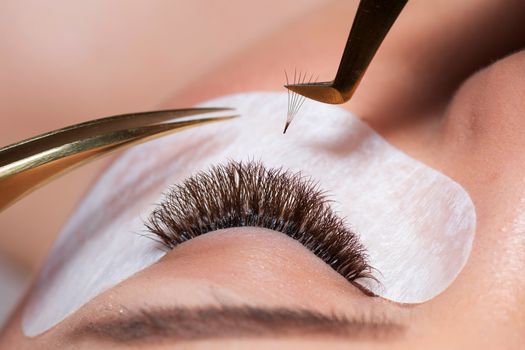 Eyelash Extension Procedure. False lashes ready in tweezers